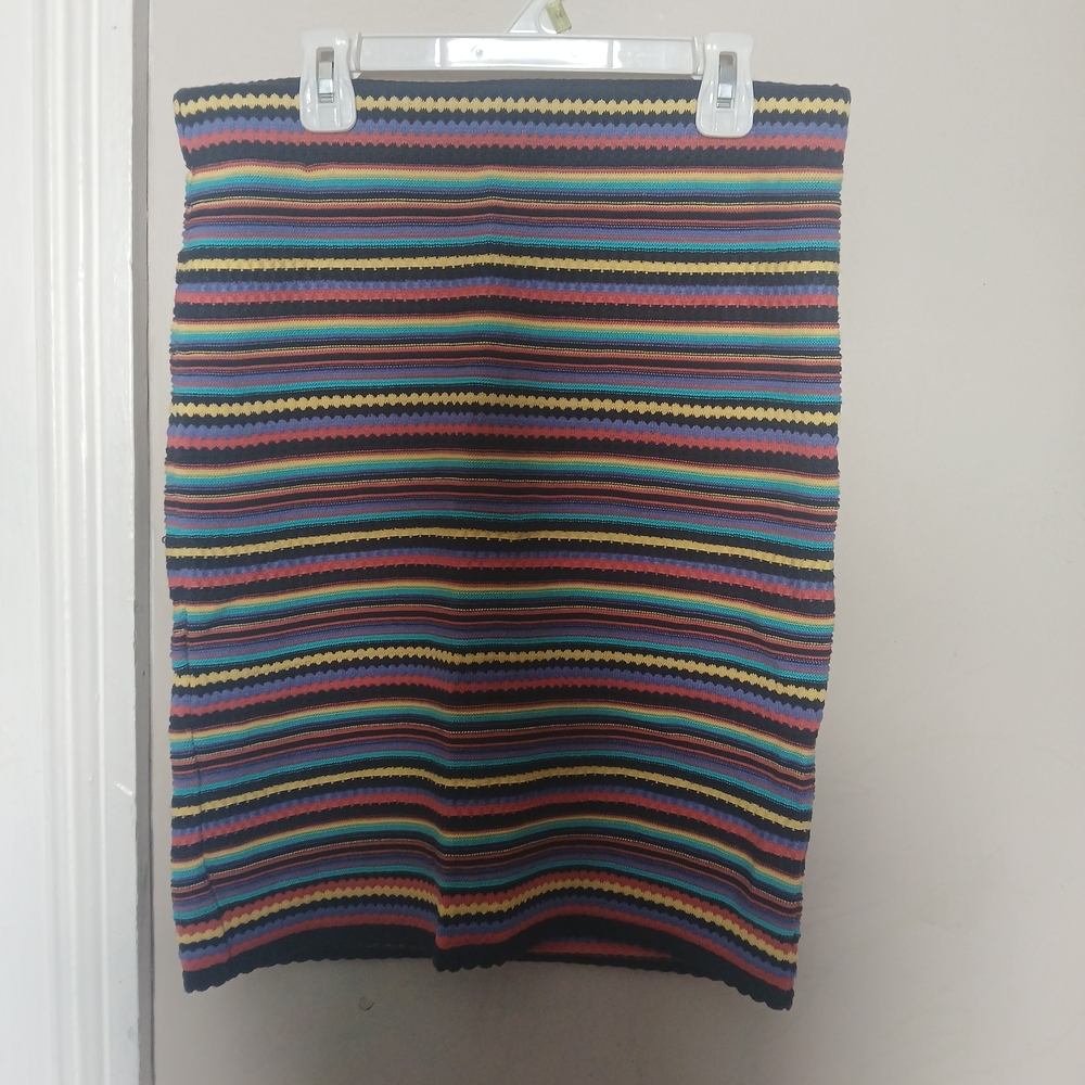 Zara Stretchy Multicolor Striped Women's Knit Skirt